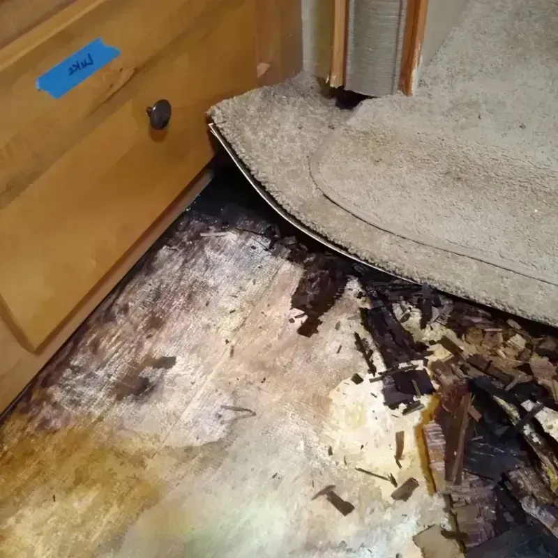 Wood Floor Water Damage in Concord, WI